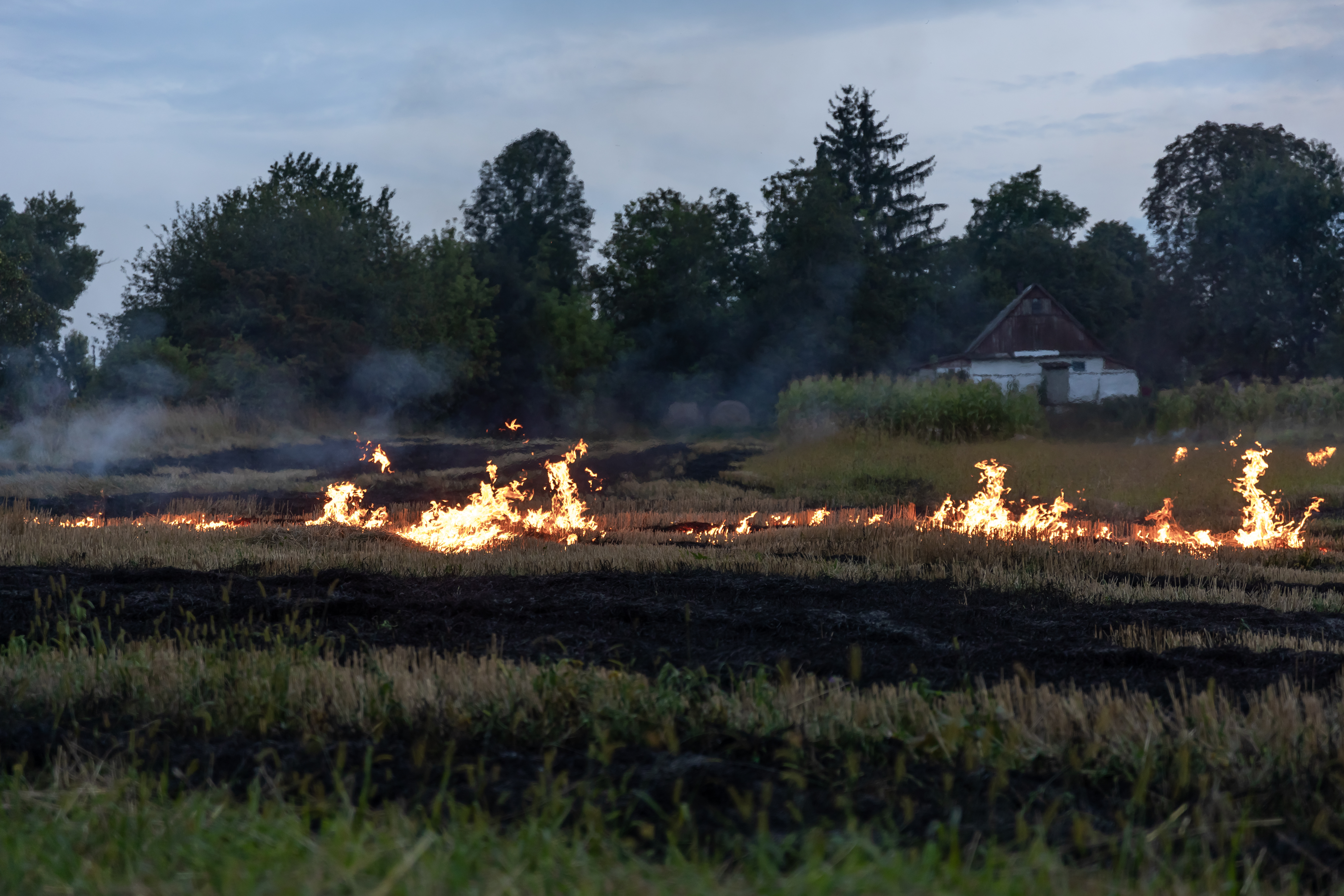 Incendio