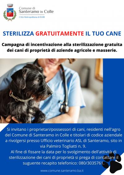 Campagna sterilizzazione cani