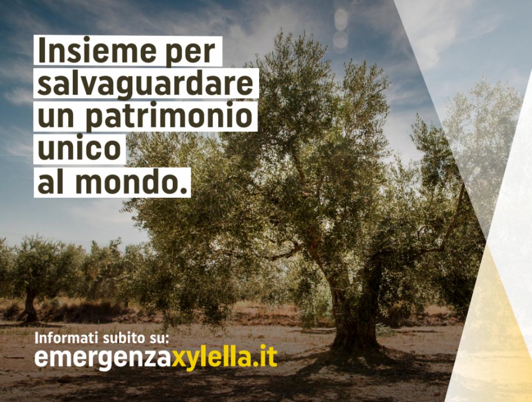 Xylella - 2